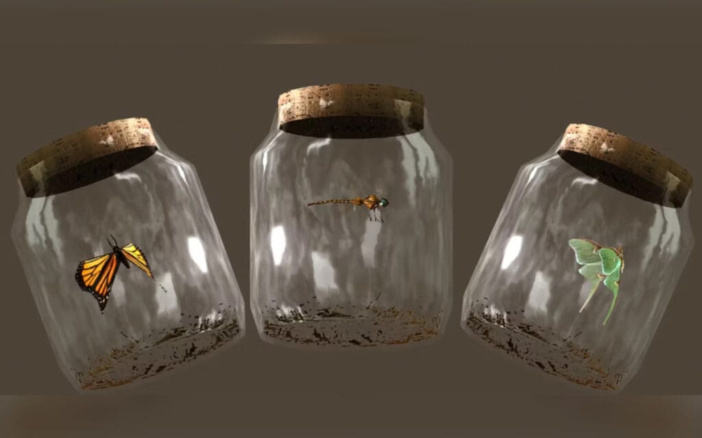 Bug Jars from Skyrim