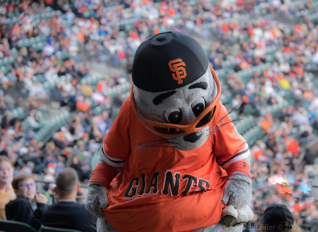 San Francisco Giants Mascot, Lou Seal