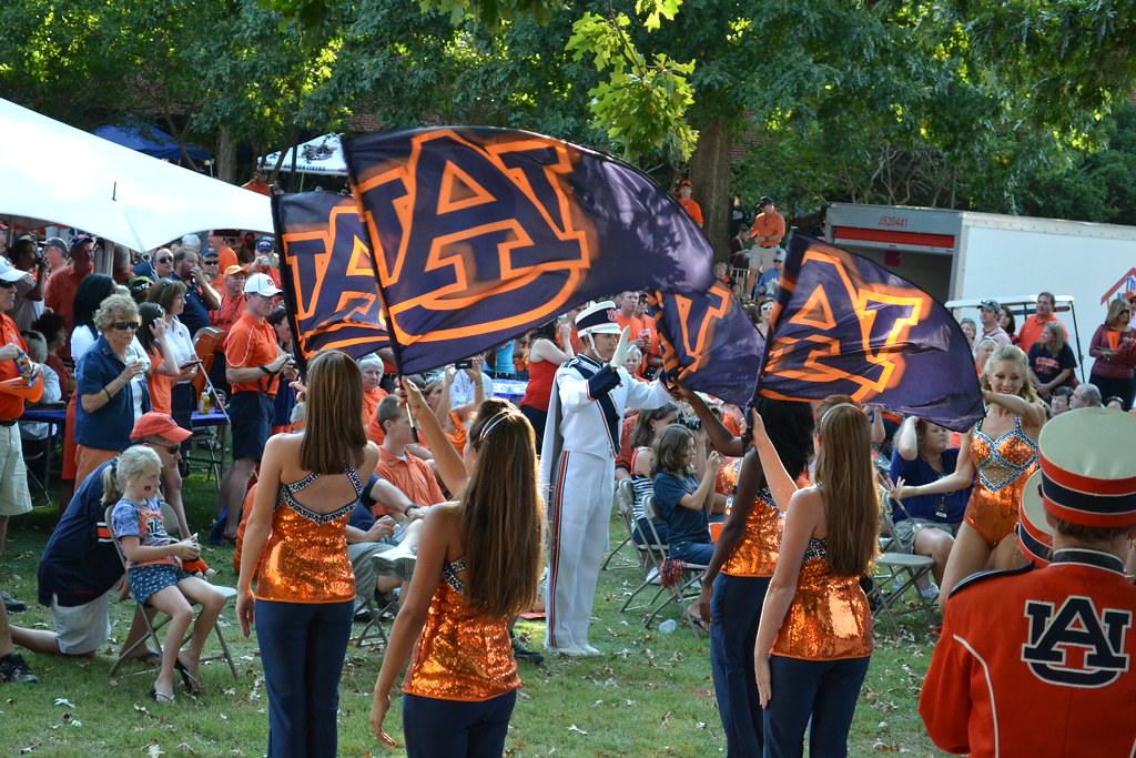 Auburn Tigers fan