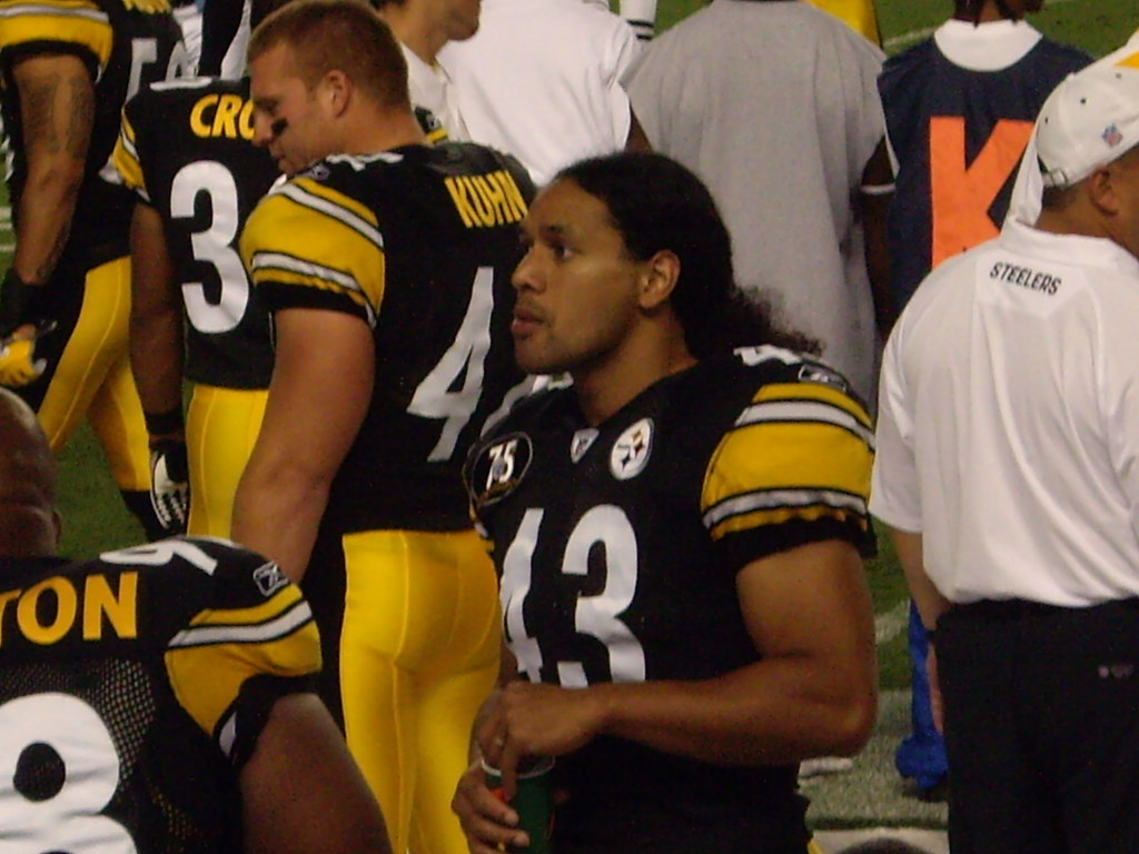 Troy Polamalu