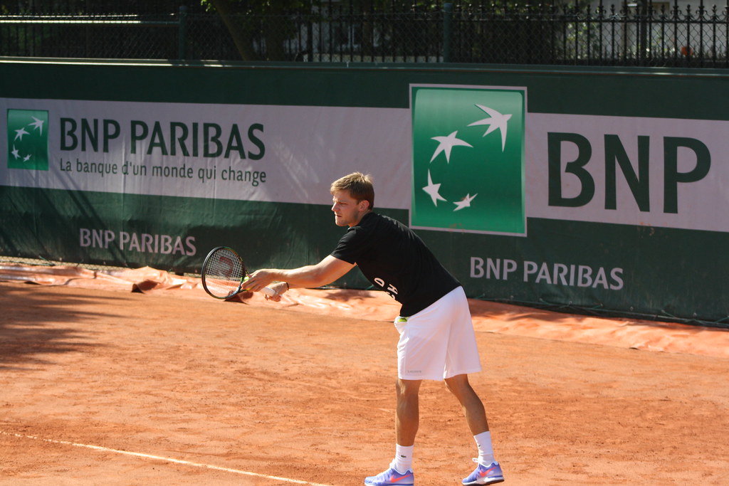 David Goffin