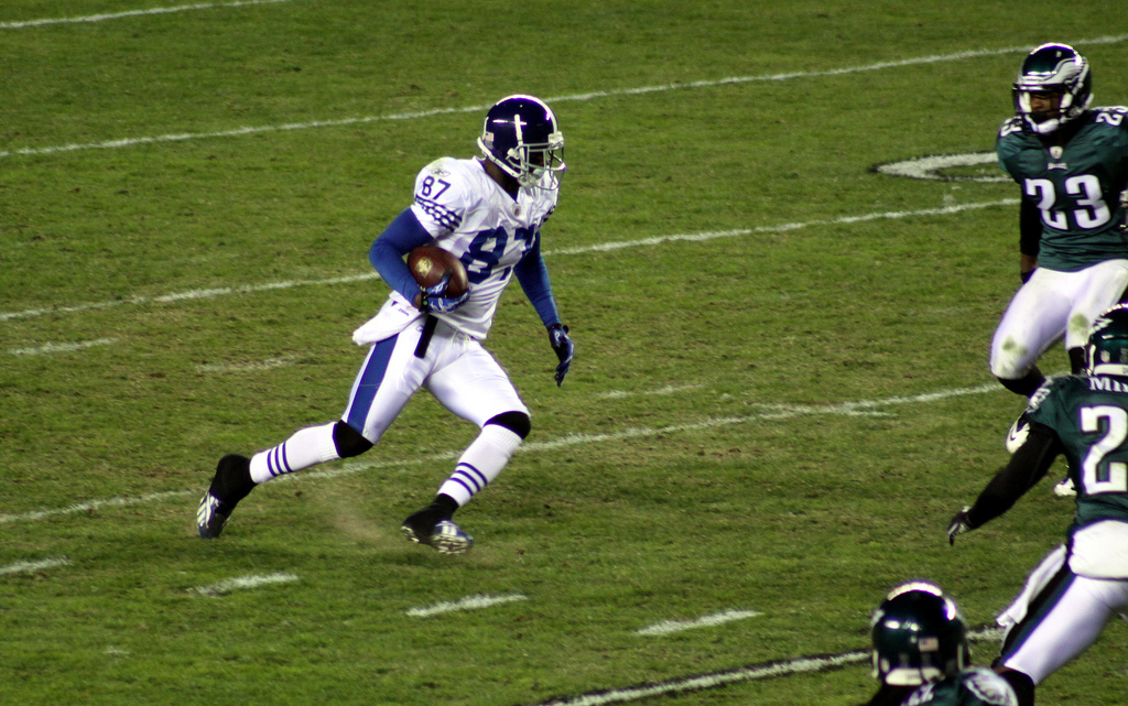 Reggie Wayne