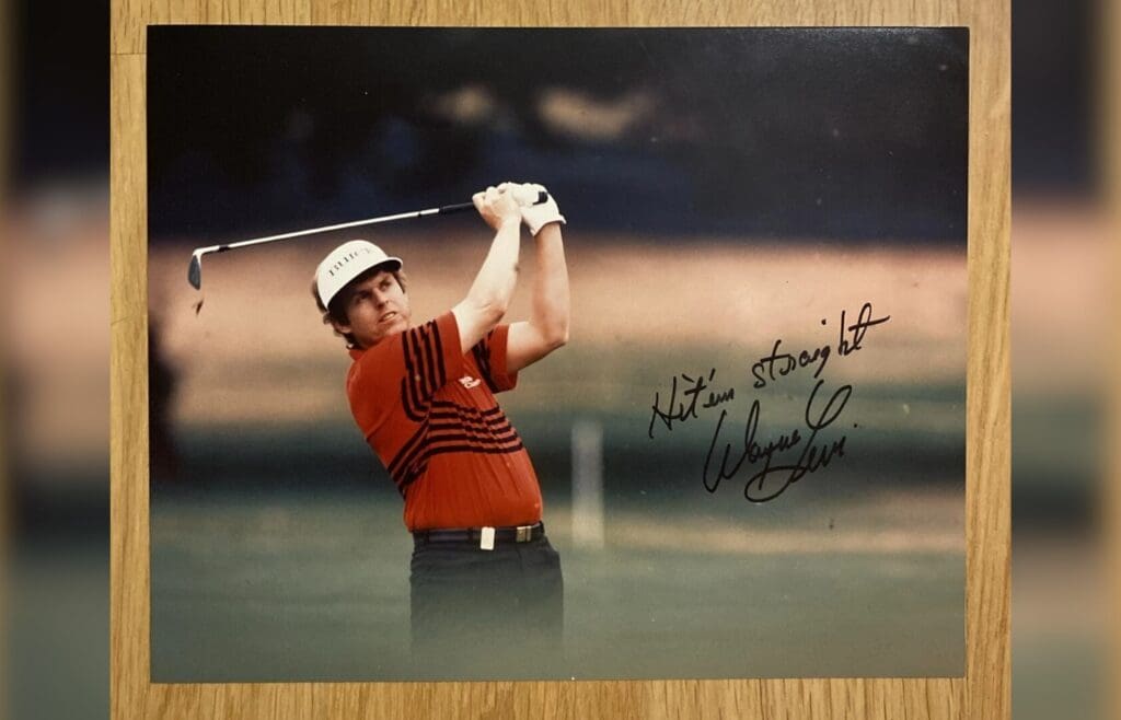 Wayne Levi