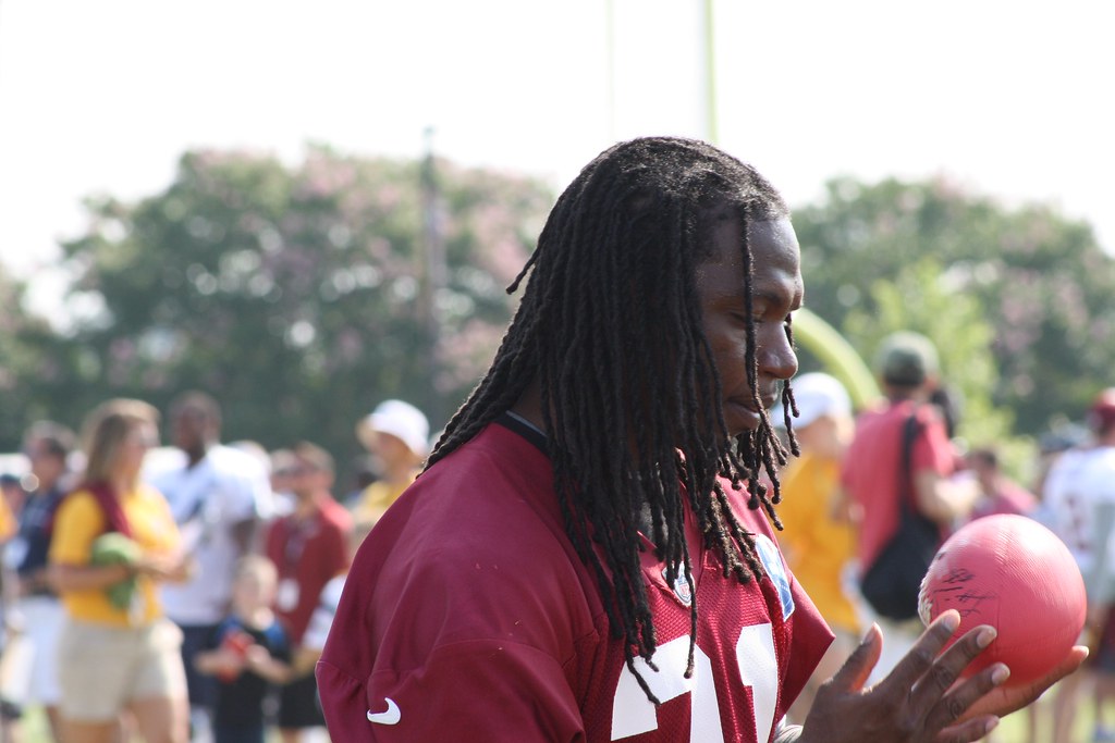 Brandon Meriweather