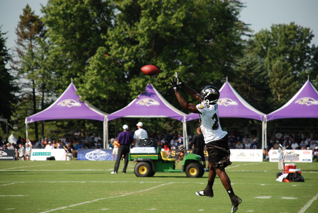 Ed Reed