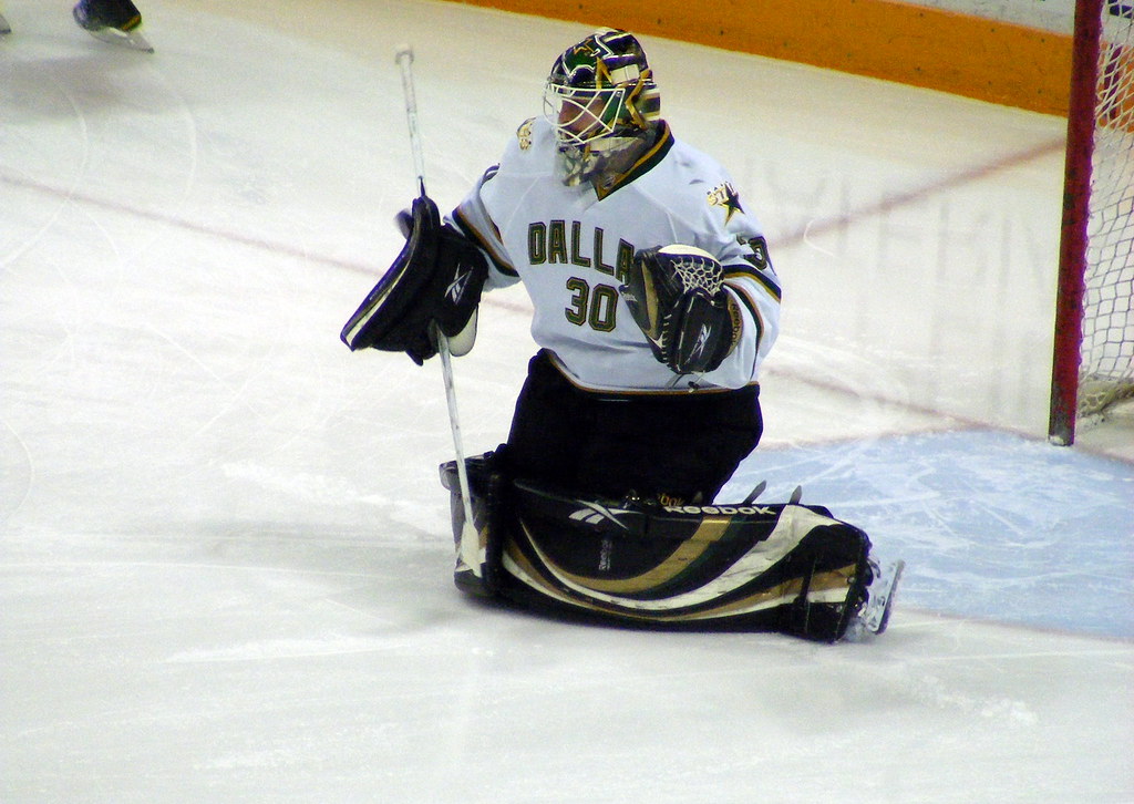 Andrew Raycroft