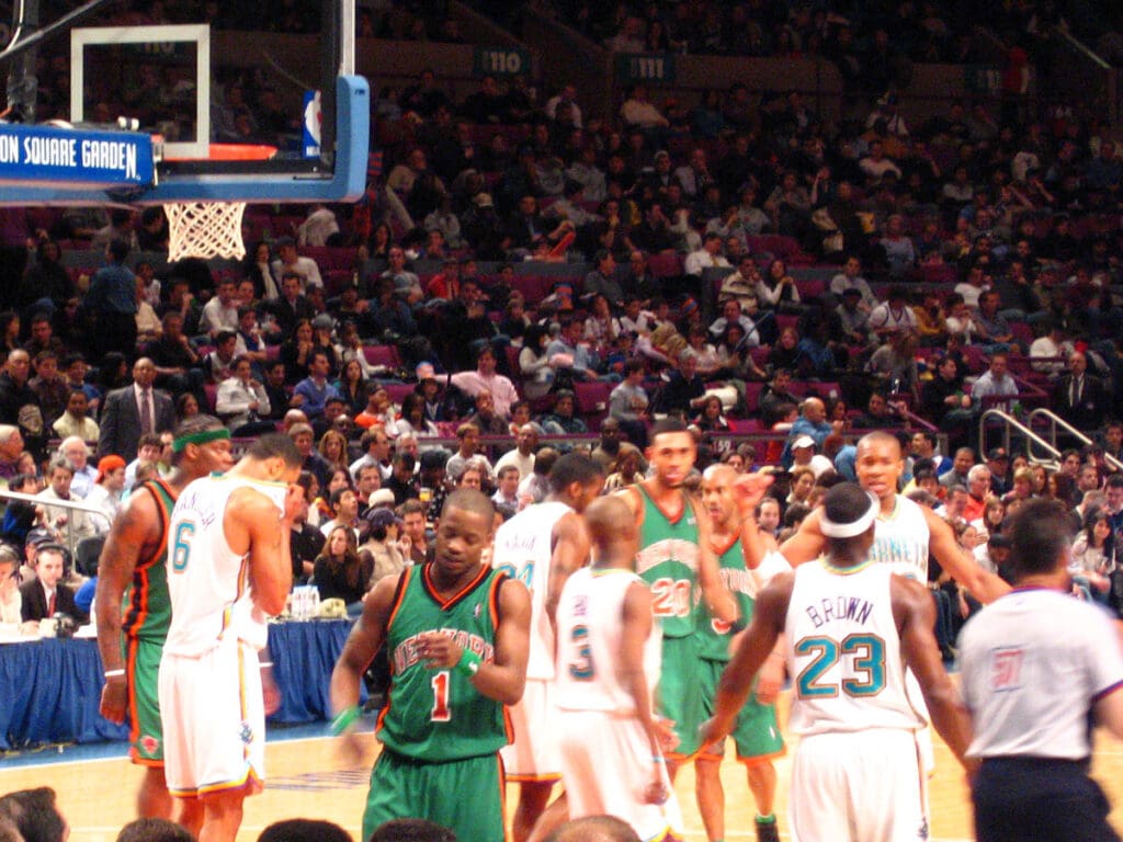Steve Francis Knicks