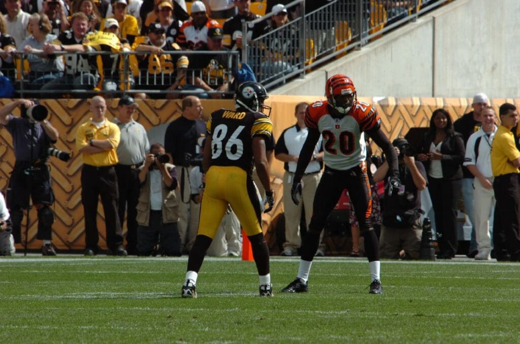Hines Ward and Tory James