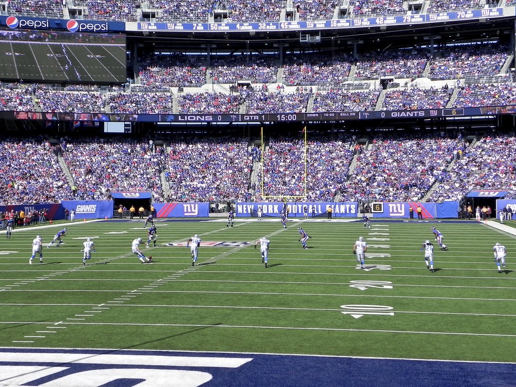 Detroit Lions