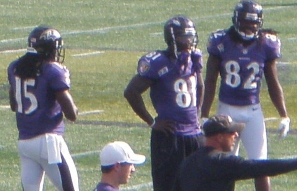 Anquan Boldin