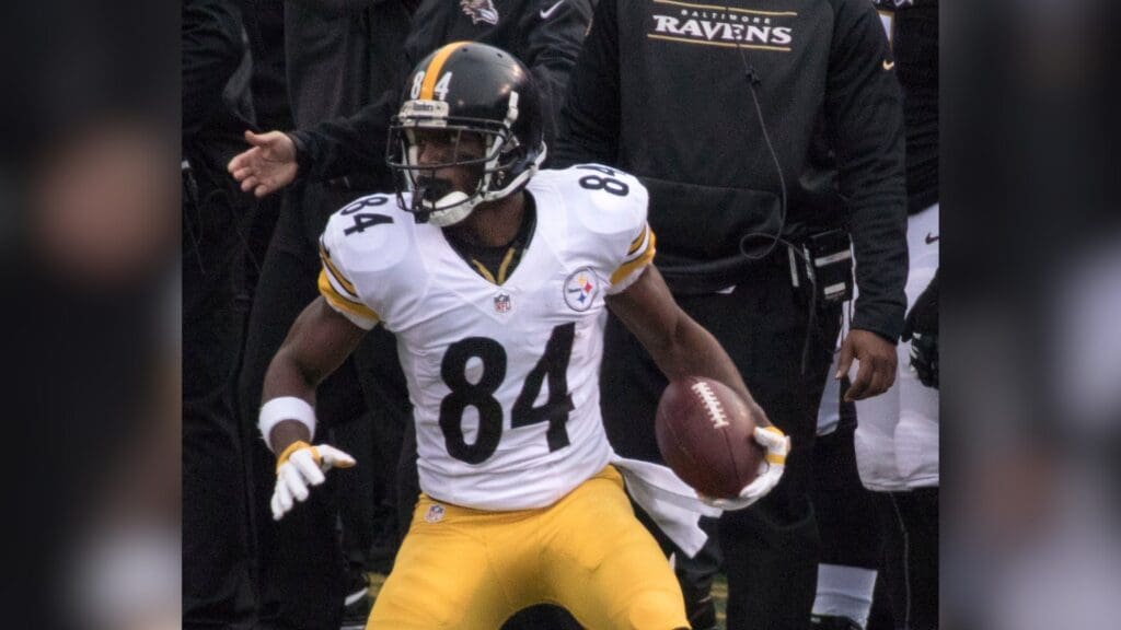 Antonio Brown 2015