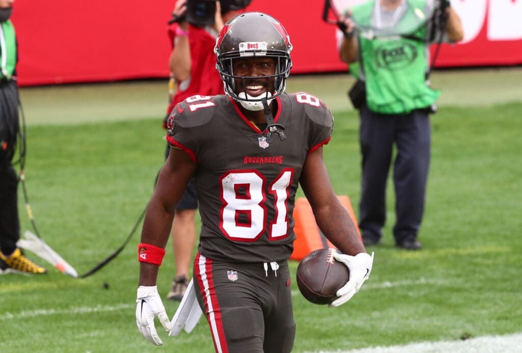 Jan 3, 2021; Tampa, Florida, USA; Tampa Bay Buccaneers wide receiver Antonio Brown (81) smiles after scoring a touchdown against the Atlanta Falcons during the second half at Raymond James Stadium.