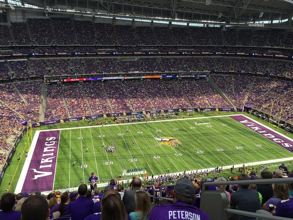 Minnesota Vikings
