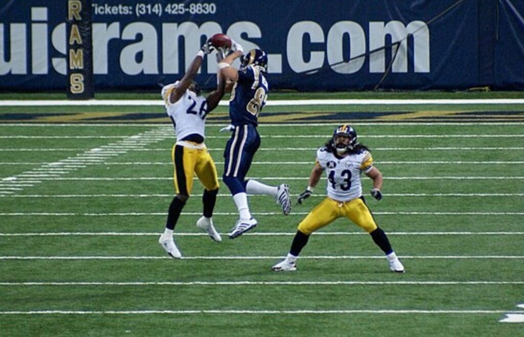 Troy Polamalu