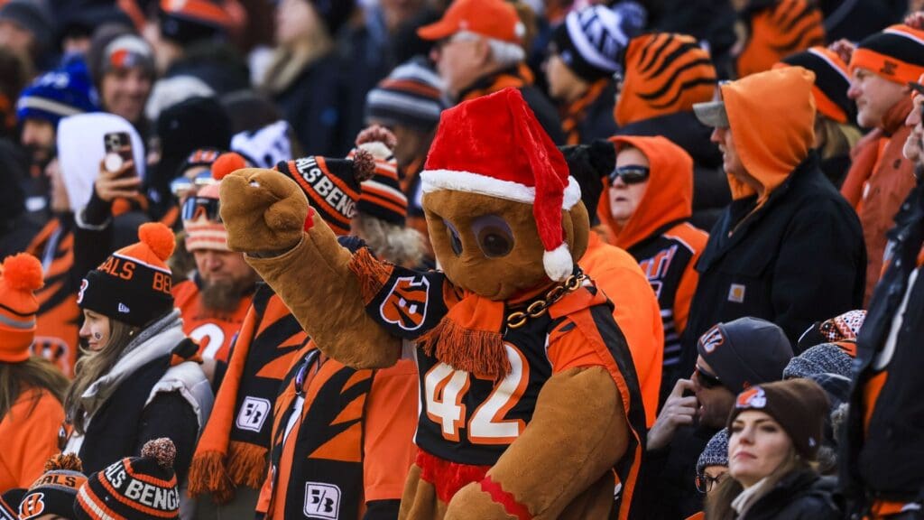 Dec 22, 2024; Cincinnati, Ohio, USA; A Cincinnati Bengals fan cheers during the first half in the game against the Cleveland Browns at Paycor Stadium.