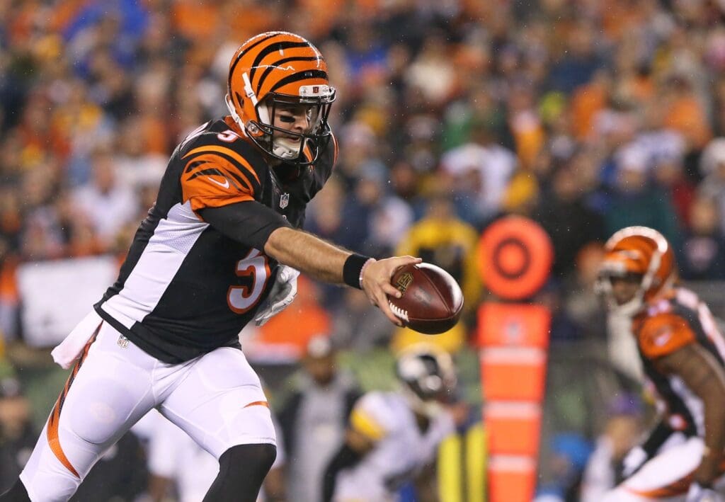 Jan 9, 2016; Cincinnati, OH, USA; Cincinnati Bengals quarterback AJ McCarron (5) against the Pittsburgh Steelers during a AFC Wild Card playoff football game at Paul Brown Stadium.