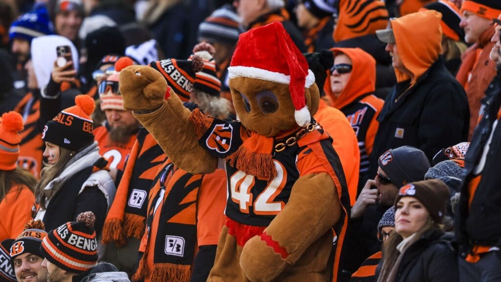 Dec 22, 2024; Cincinnati, Ohio, USA; A Cincinnati Bengals fan cheers during the first half in the game against the Cleveland Browns at Paycor Stadium.
