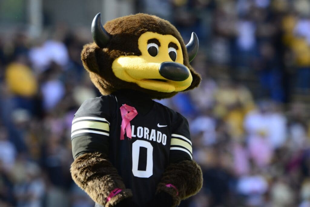 Colorado Buffaloes mascot Ralphie before the start of the game against the the UCLA Bruins at Folsom Field