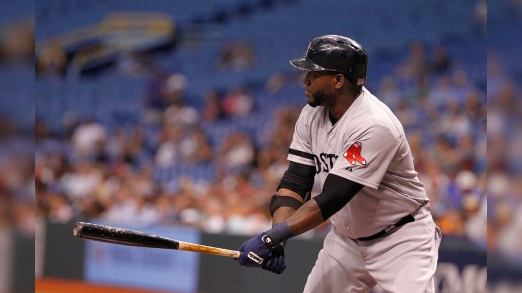 Jun 12, 2013; St. Petersburg, FL, USA; Boston Red Sox designated hitter David Ortiz (34) at bat against the Tampa Bay Rays at Tropicana Field.
