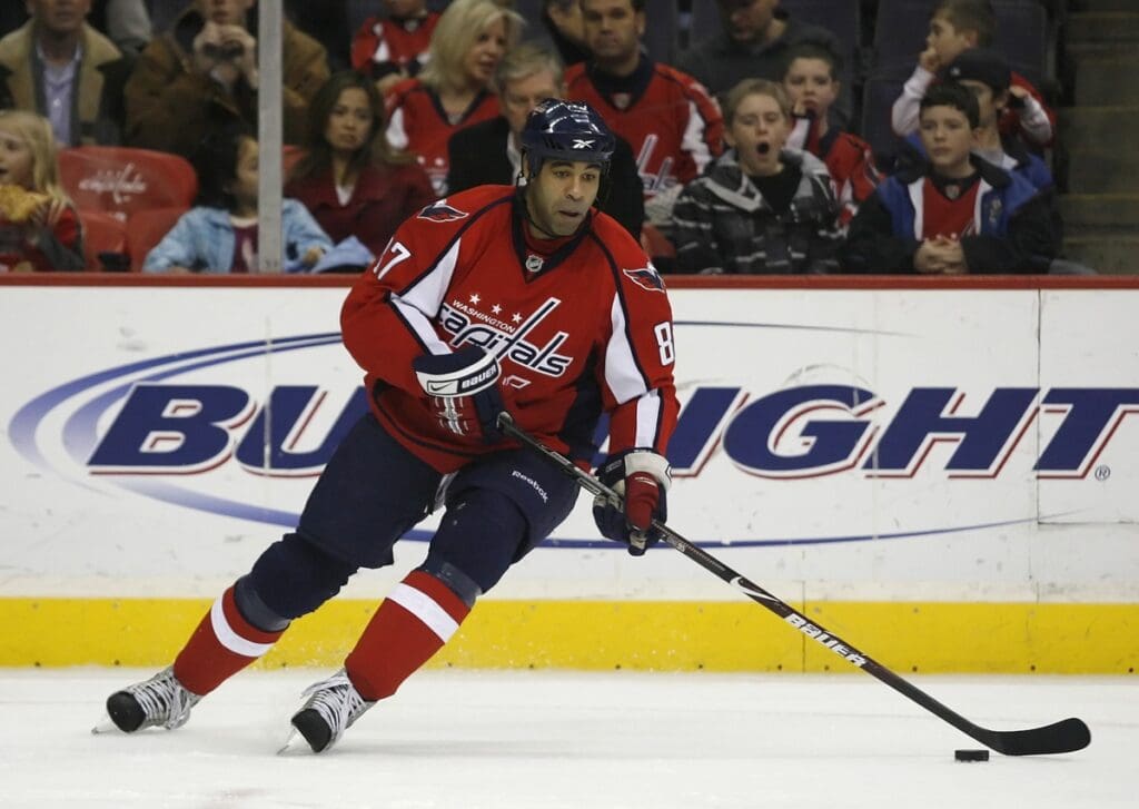 January 9, 2009; Washington, DC, USA; Washington Capitals left wing Donald Brashear (87) skates with the puck against the Columbus Blue Jackets in the second period at Verizon Center. The Blue Jackets won 3-0.