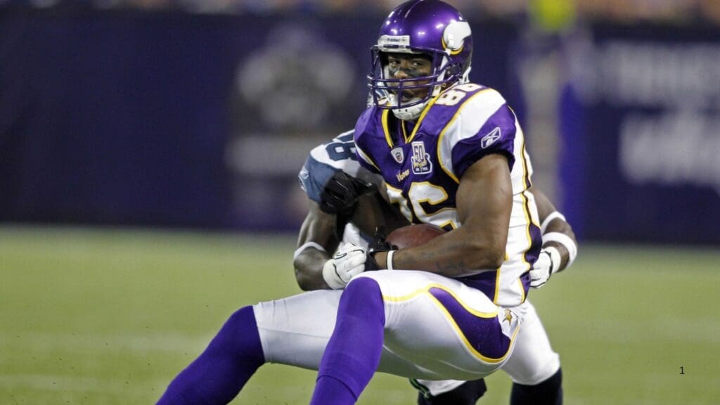 Aug 28, 2010; Minneapolis, MN, USA; Minnesota Vikings wide receiver Javon Walker (86) catches a pass against the Seattle Seahawks in the fourth quarter at the Metrodome. Vikings win 24-13.