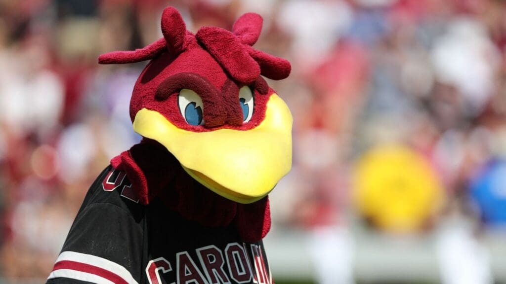 South Carolina Gamecocks mascot Cocky during the first quarter against the Louisiana Tech Bulldogs at Williams-Brice Stadium