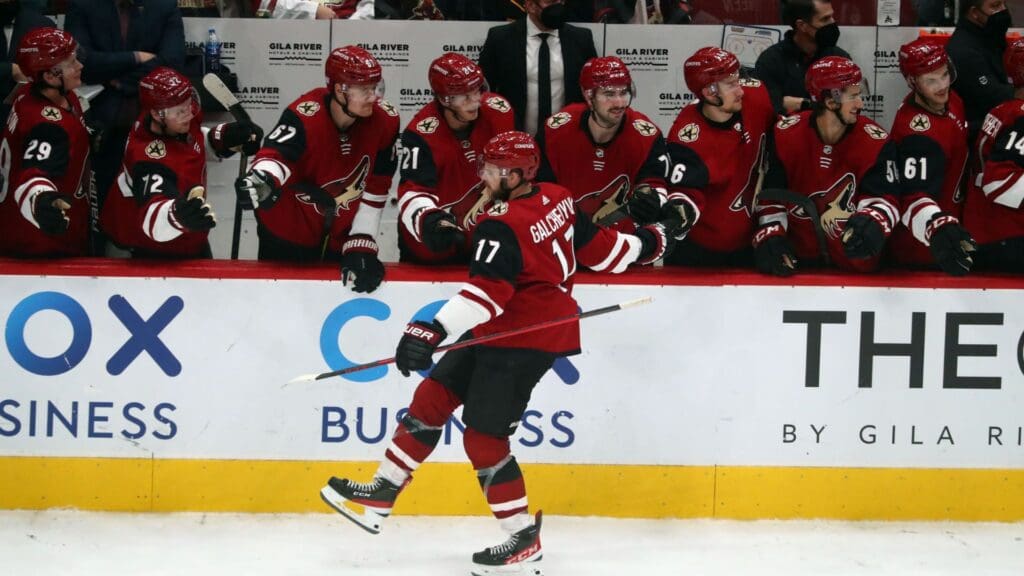 Nov 18, 2021; Glendale, Arizona, USA; Arizona Coyotes center Alex Galchenyuk (17) celebrates his goal scored against the Columbus Blue Jackets during the shootout at Gila River Arena.