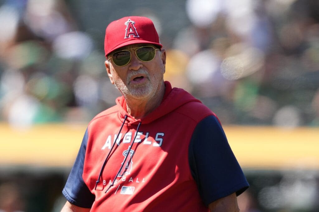joe maddon