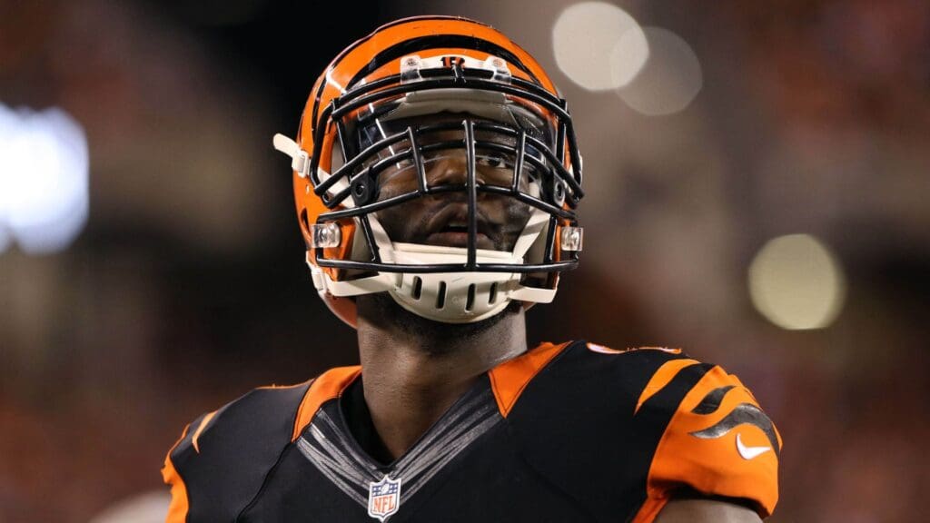 Nov 5, 2015; Cincinnati, OH, USA; Cincinnati Bengals defensive end Michael Johnson (90) against the Cleveland Browns at Paul Brown Stadium. The Bengals won 31-10.
