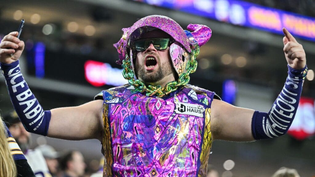 Dec 29, 2024; Minneapolis, Minnesota, USA; A Minnesota Vikings fan reacts during the fourth quarter against the Green Bay Packers at U.S. Bank Stadium.
