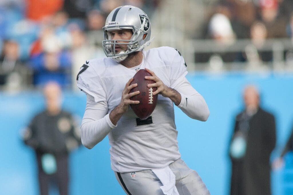 Dec 23, 2012; Charlotte, NC, USA; Oakland Raiders quarterback Matt Leinart (7) drops back to pass during the third quarter against the Carolina Panthers at Bank of America Stadium. Panthers defeated the Raiders 17-6.