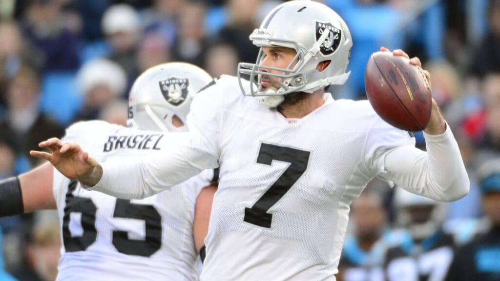 Dec 22, 2012; Charlotte, NC, USA; Oakland Raiders quarterback Matt Leinart (7) looks to pass in the second half. The Panthers defeated the Raiders 17-6 at Bank of America Stadium. 