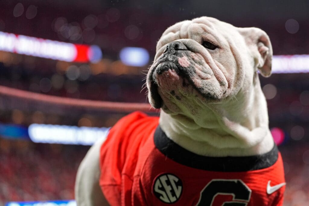Georgia mascot Uga XI on the field during the second half of the SEC championship game against Texas in Atlanta, on Saturday, Dec. 7, 2024.