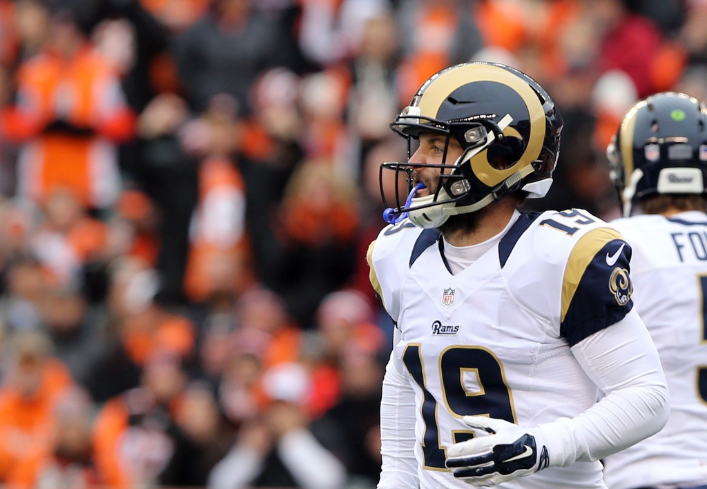 Nov 29, 2015; Cincinnati, OH, USA; St. Louis Rams wide receiver Wes Welker (19) against the Cincinnati Bengals at Paul Brown Stadium. The Bengals won 31-7.